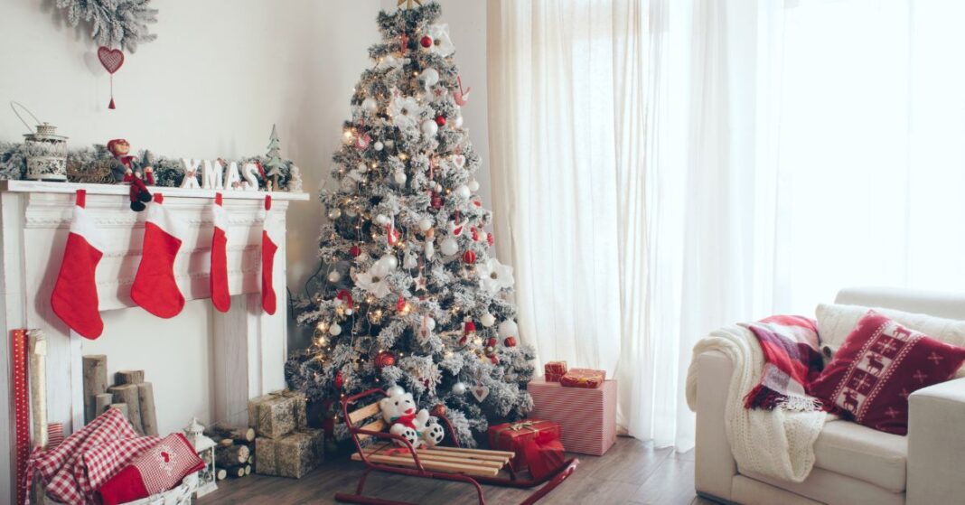 start christmas tree business from home